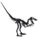 Велоцираптор | Velociraptor Fridolin 3D модель 11644 фото 2