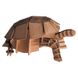 Черепаха | Turtle Fridolin 3D модель 11625 фото 2