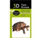 Черепаха | Turtle Fridolin 3D модель 11625 фото 1