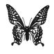 Метелик | Butterfly Fridolin 3D модель 11607 фото 2
