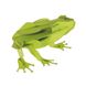 Лягушка | Frog Fridolin 3D модель 11609 фото 2