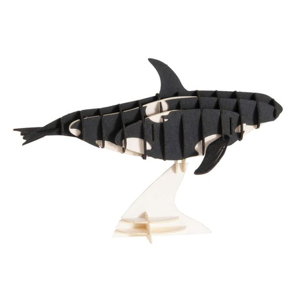 Касатка | Whale Fridolin 3D модель 11634 фото