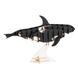 Касатка | Whale Fridolin 3D модель 11634 фото 2
