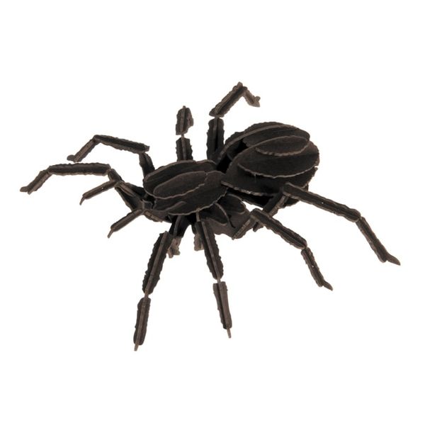 Паук | Spider Fridolin 3D модель 11605 фото