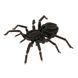 Паук | Spider Fridolin 3D модель 11605 фото 2