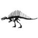 Спинозавр | Spinosaurus Fridolin 3D модель 11645 фото 2