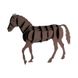 Кінь | Horse Fridolin 3D модель 11616 фото 2