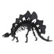 Стегозавр | Stegosaurus Fridolin 3D модель 11641 фото 2
