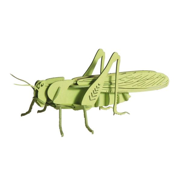 Коник | Grasshopper Fridolin 3D модель 11608 фото