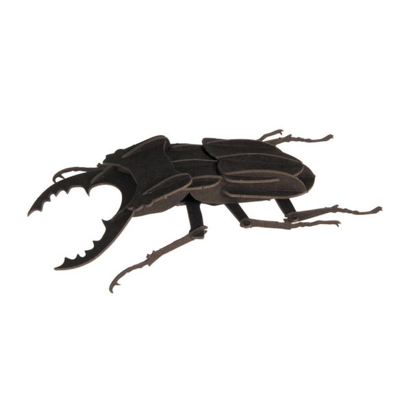 Жук | Beetle Fridolin 3D модель 11606 фото