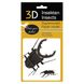 Жук | Beetle Fridolin 3D модель 11606 фото 1